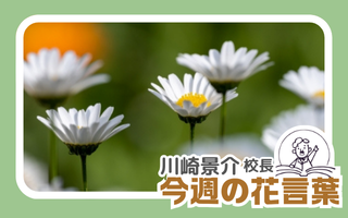 今週の花言葉